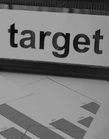 Company Target